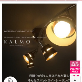 KALMO スポットライトシーリング