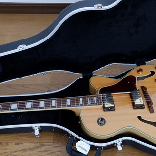 木目が美しい！Epiphone/エピフォンのフルアコ「ジョー・パ...