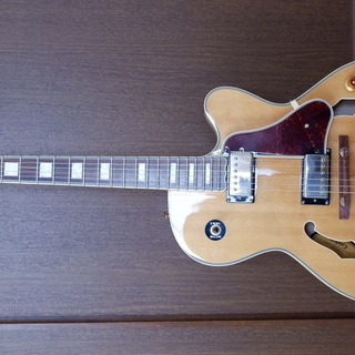 木目が美しい！Epiphone/エピフォンのフルアコ「ジョー・パス