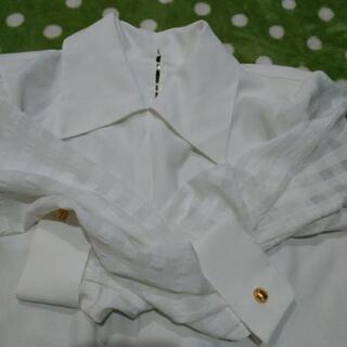 可愛い11号白ブラウスの画像