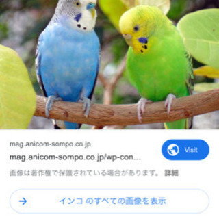 一人暮し再開