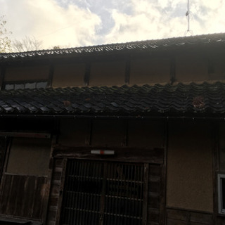 植木鉢の画像