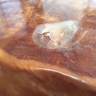 青森・下北天然ヒバ使用 ローテーブル