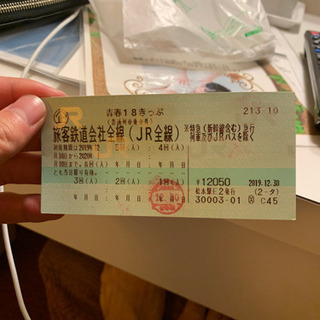 青春18切符　2回分　5000円