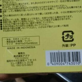 新品木のペンだての画像