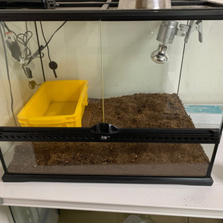 グラステラリウム6045　引き取り限定 引き取り限定 グラステラリウム 6045