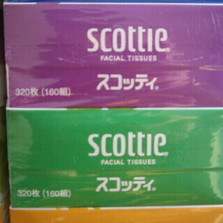 SCOTTIE ボックステッシュ　35箱の画像