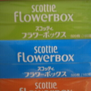 SCOTTIE FlowerBOX ボックステッシュ　50箱の画像
