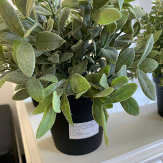 IKEA イケア　フェイクグリーン　6個の画像