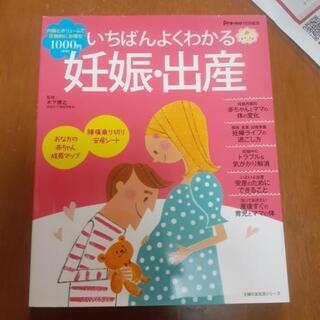 いちばんよくわかる妊娠出産　成城木下病院