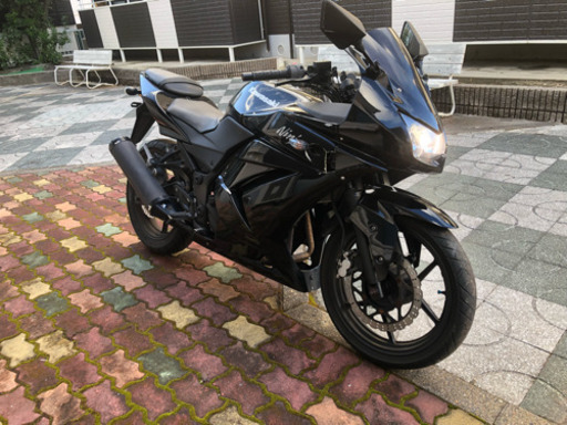 ninja250  実働 調子良好