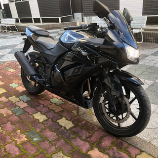 ninja250  実働 調子良好