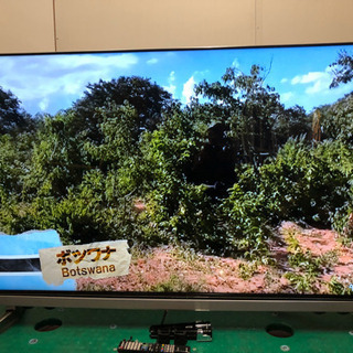 ✨入手困難・希少品！✨アメガワンド