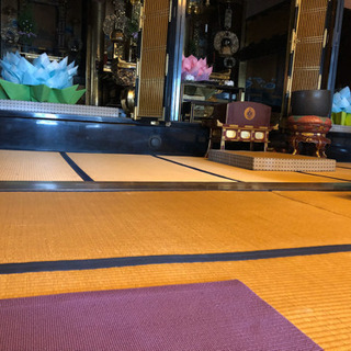 1月お寺ヨガメンバー募集！@宇土西念寺 - スポーツ