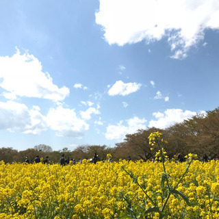 看護師、医療関係者と友達作り - 立川市