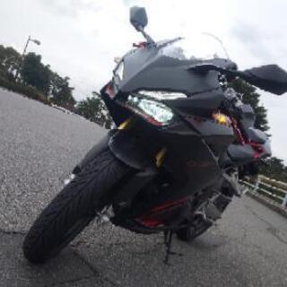 cbr250rr mc51 明日まで値下げ！の画像