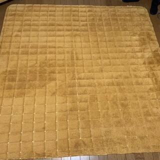 【決定しました】カーペット
