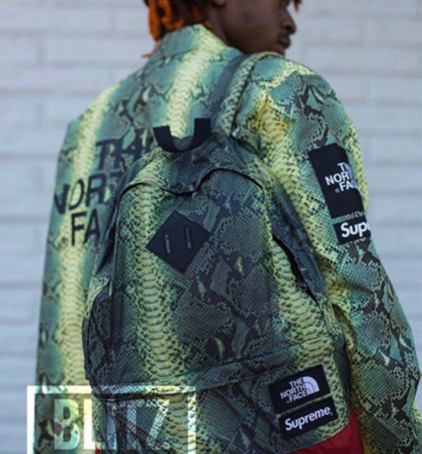 メンズ Snakeskin Taped Seam Coaches Jacket