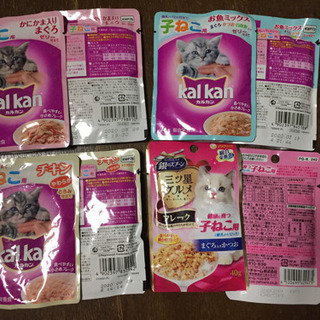 子猫用キャットフード差し上げますの画像