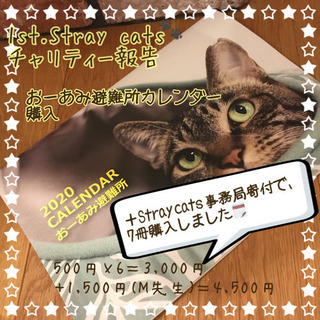 ZUMBAサークル　Stray cats🐾参加者募集の画像