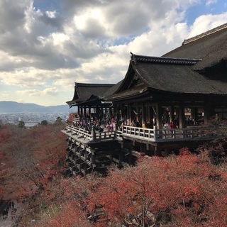 旅友、BBQ、温泉、岩盤浴、スキー - メンバー募集