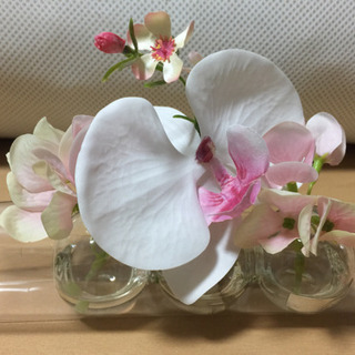 エミリオロバ   造花の画像
