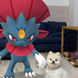 ポケモンGo オフ会