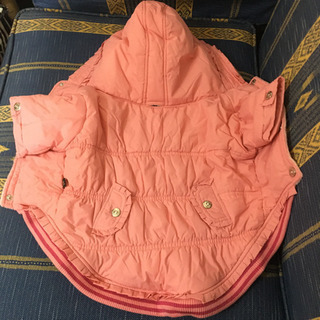 犬☆ジャケット小型犬★新品☆最終値下げの画像
