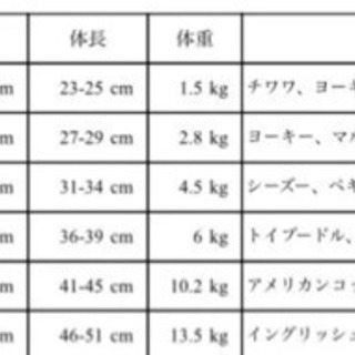 犬☆ジャケット小型犬★新品☆最終値下げの画像