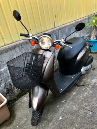 ホンダトゥデイ AF 61 (50cc)