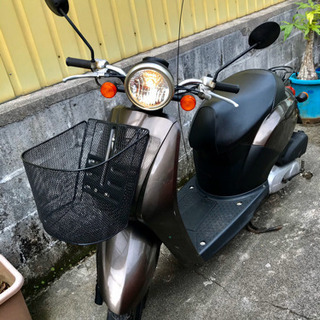 ホンダトゥデイ AF 61 (50cc)