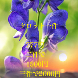 占い鑑定　有料