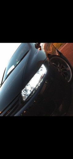 オデッセイ ワンオフ加工品 10連イカリング ヘッドライト