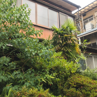 長崎市空き家の管理でお困りではありませんか？　お持ちの空き家、空...