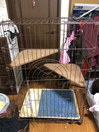 大きめのキャットゲージになります！