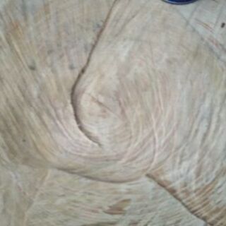 広葉樹ケヤキの薪割り台！大きめ。茨城県潮来市。の画像