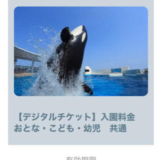 鴨川シーワールド　チケット　2枚