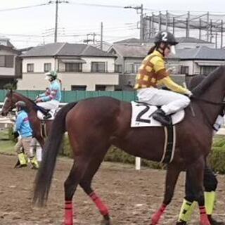 競馬トークしませんか( v^-゜)♪ - 友達