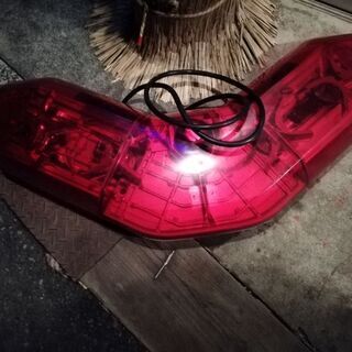 V型パトランプ　受付今日まで!!の画像