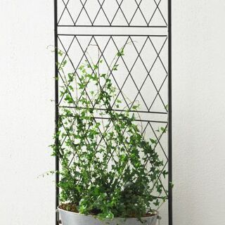 IKEAイケア　台座付きアイアントレリス　BARSOの画像
