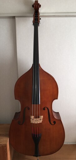 中古コントラバス、ウッドベース、クレモナ Cremona No. 30