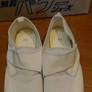 上履き 白 教育パワーシューズ 25㎝ 体育館シューズ
