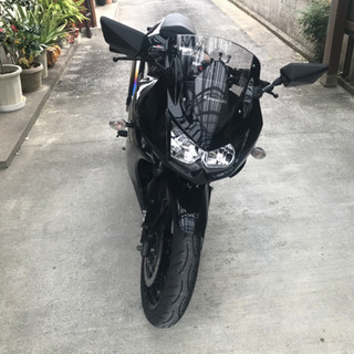 ニンジャ250Rの画像