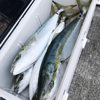 伊勢湾ボートフィッシングメンバー募集！