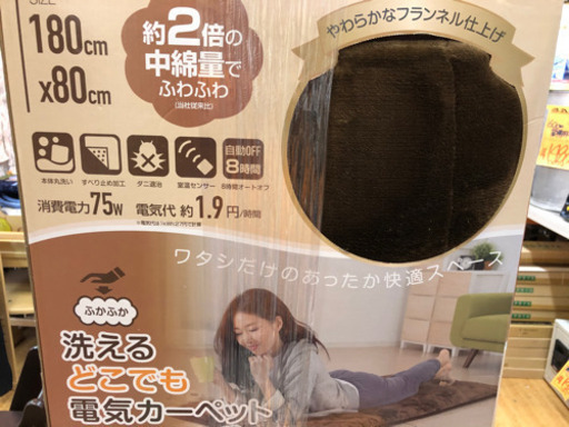 ヤマゼン　ふかふか洗えるどこでも電気カーペット　2018年