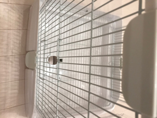 イージーホームクリアバード40WH モモンガ　鳥　小動物　プラスチック