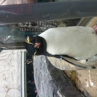 急募【お写ん歩】1/5（日）　東山動植物園　カメラ旅！（数名募集） - 名古屋市