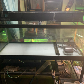1200上部フィルター水槽+水槽台+用品　熱帯魚　古代魚　金魚