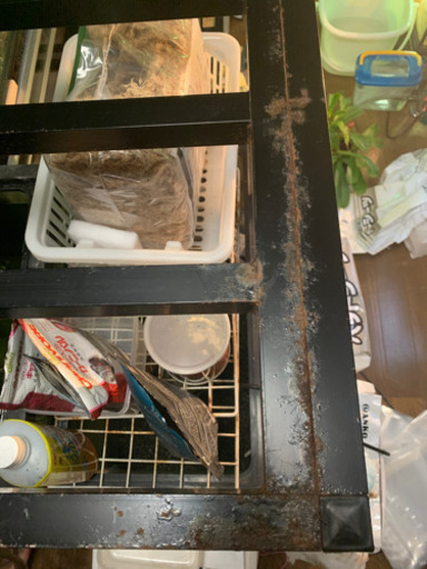1200上部フィルター水槽+水槽台+用品　熱帯魚　古代魚　金魚
