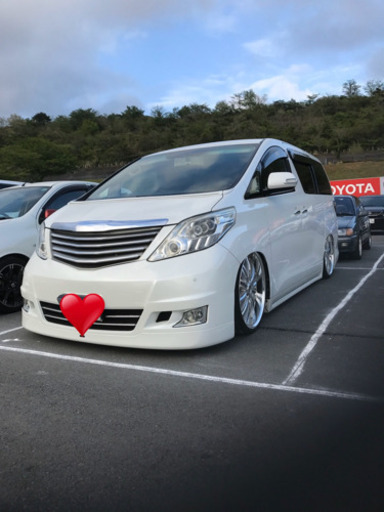 20アルファード 8連イカリング ヘッドライト